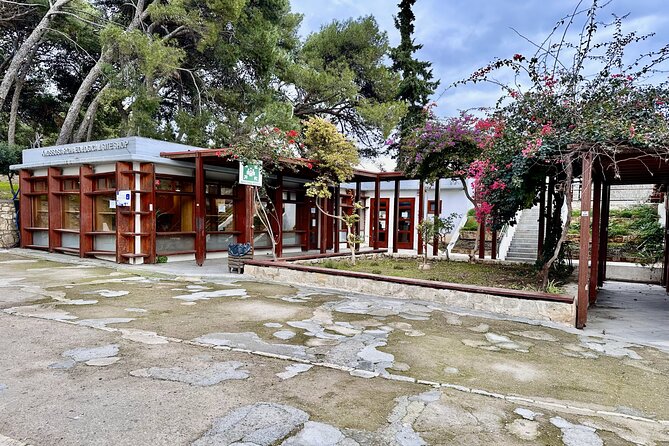 All Year Tour to Ancient Aptera Knossos And Heraklion From Chania - Knossos Exploration