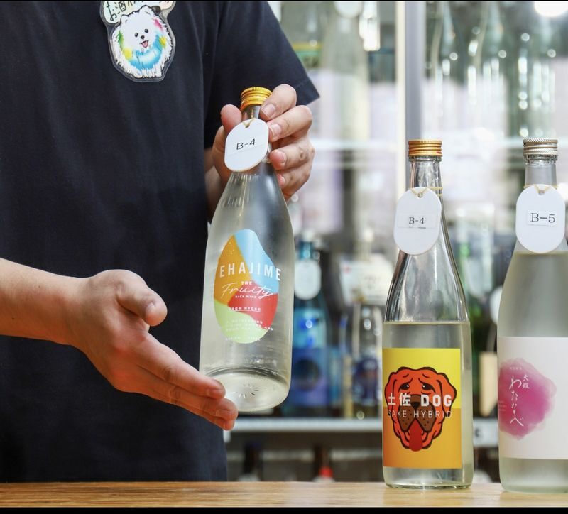 All-You-Can-Drink Japanese Sake Experience (Tokyo) - A sake bar with room to experiment
