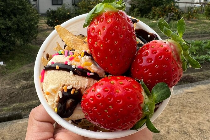 All You Can Eat Strawberry Picking in Izumisano Osaka - Pricing and Booking