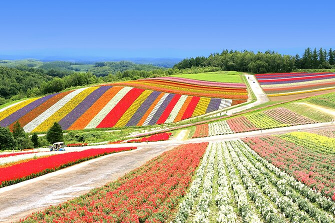 All-you-can-eat Yubari Melons & Hokkaido Lavender Tour - Additional Information