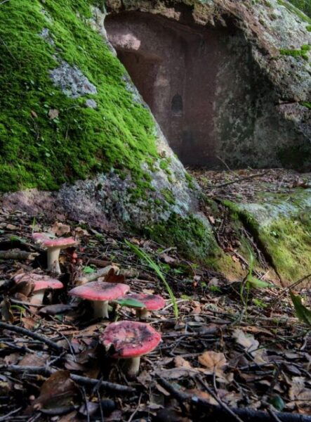 Allai: Archaeological Tour on the Via Dei Viaggianti - Frequently Asked Questions