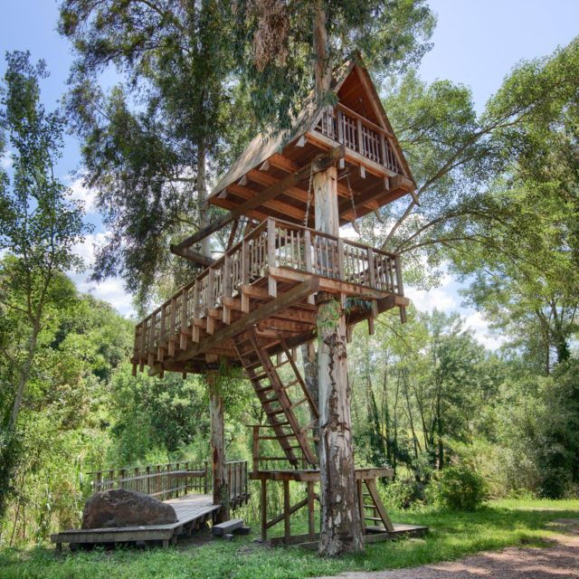 Allai: City Tour and Visit to the Tree House - Highlights and Inclusions