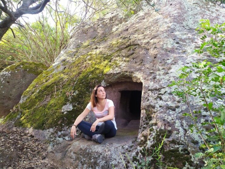 Allai: City Tour and Visit to the Tree House - Tour Description