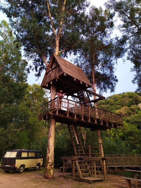 Allai: City Tour and Visit to the Tree House - Frequently Asked Questions