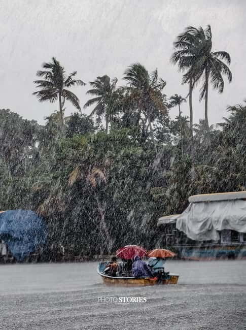 Alleppey: Kayaking and Shikkara Boat Tour with Local Meal - The Itinerary Breakdown