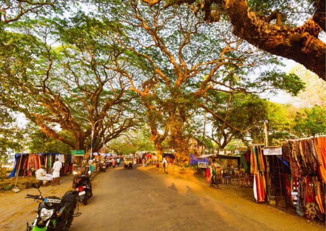 Alleppey Photography Guided Walk Tour With Tuk Tuk Ride - Essential Additional Information