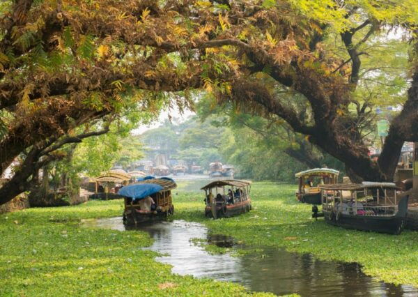 Alleppey Photography Guided Walk Tour With Tuk Tuk Ride - Tuk Tuk Ride Experience