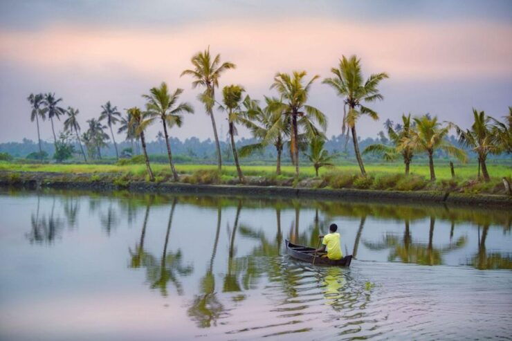 Alleppey Shikara Boat Ride - Availability and Highlights