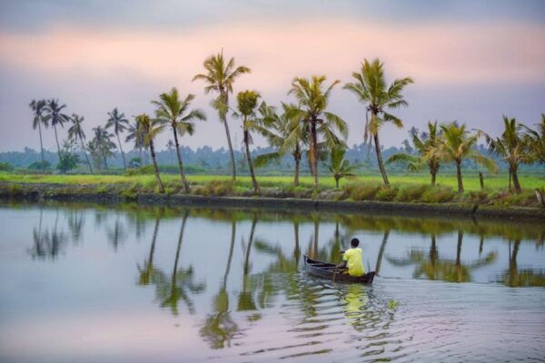 Alleppey Shikara Boat Ride - The Sum Up