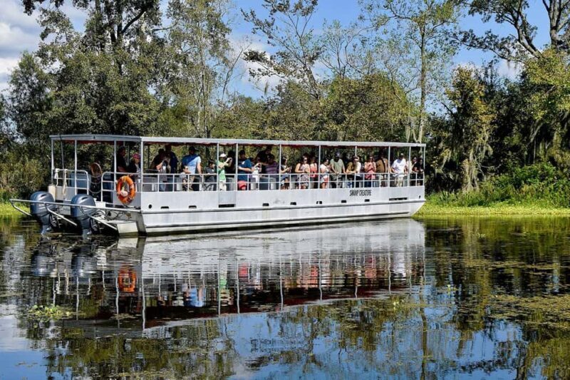 Alligator Swamp Tour by Gray Line New Orleans - Practical Tips for Your Swamp Adventure