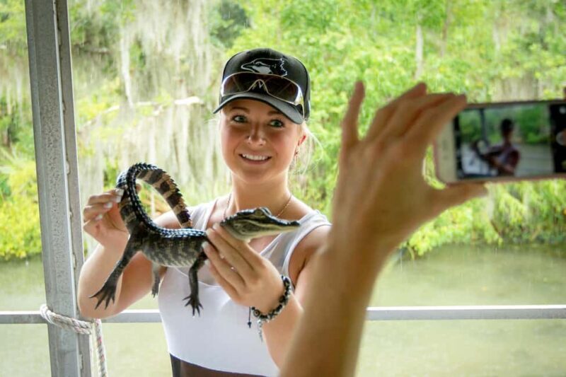 Alligator Swamp Tour by Gray Line New Orleans - The Final Verdict: Who Is This Tour Best For?
