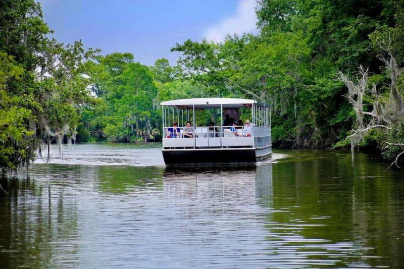 Alligator Swamp Tour by Gray Line New Orleans - FAQ About the Alligator Swamp Tour by Gray Line New Orleans