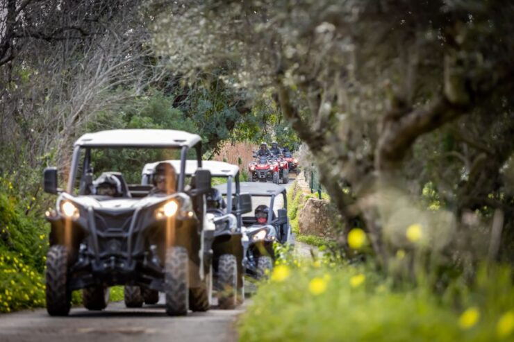 Almancil: Algarve Guided Off-Road Buggy Adventure - Activity Details