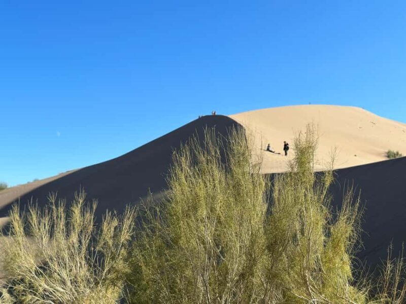 Almaty: 2-Day Altyn-Emel National Park Tour with Meals - Why This Tour Offers Real Value  