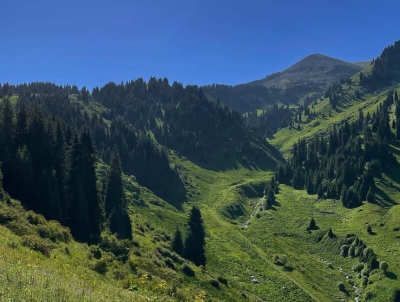 Almaty Advanced Hiking: Four Peaks Hike - Who Is This Tour Best Suited For?