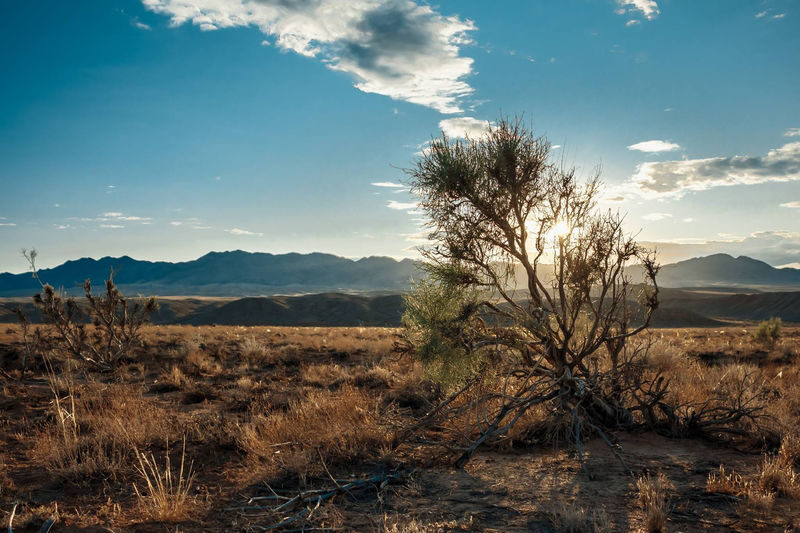Almaty Altyn Emel National Park Full-Day Private Tour - Who should choose this tour?