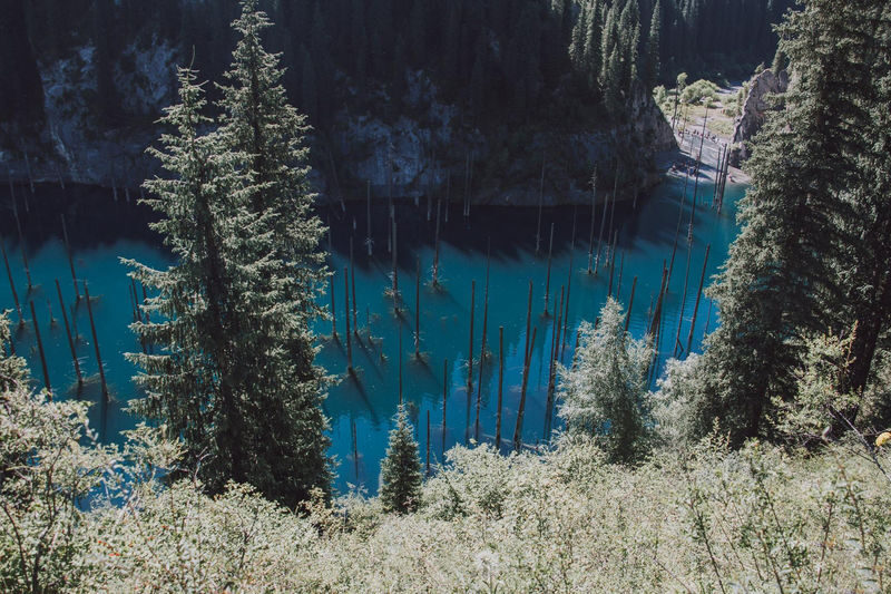 Almaty Charyn Canyon, Kolsai Lake & Kaindy Lake Private Day Tour - A guide can make the schedule feel less rushed