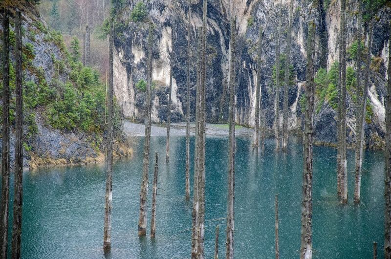 Almaty Charyn Canyon, Kolsai Lake & Kaindy Lake Private Day Tour - Is the starting price good value?