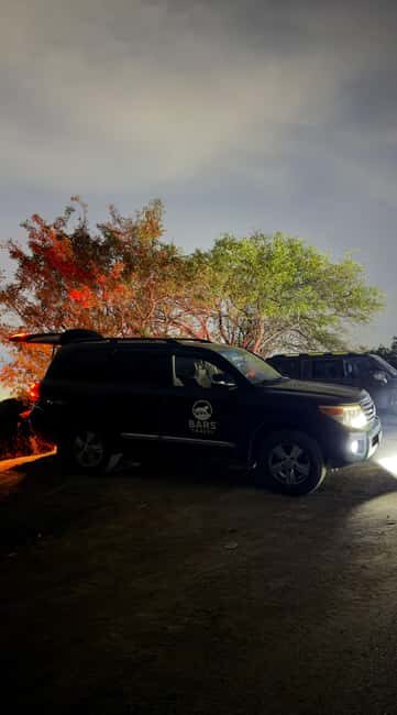 Almaty: City Tour Kolsai Lake, Kaindy Lake, Charyn Canyon - The Experience: What Past Guests Say