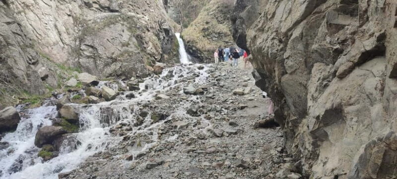 Almaty: Falconry show and Big Almaty Gorge - The Experience: Value and Authenticity