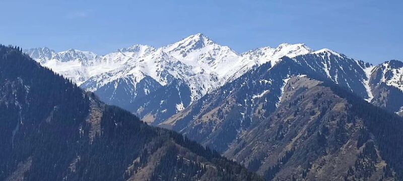 Almaty: Falconry show and Big Almaty Gorge - The Sum Up  