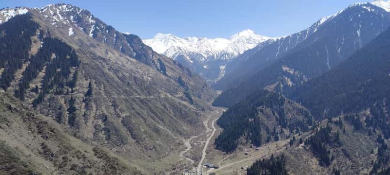 Almaty: Hiking the Japanese Road and Wild Hunting Birds Show - Wildlife and the Hunting Birds Show