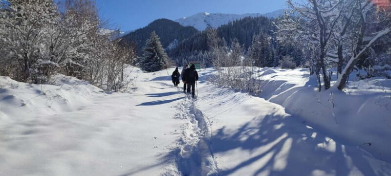 Almaty: Hiking to the High Mountain Pasture Kok Zhailau - The Sum Up