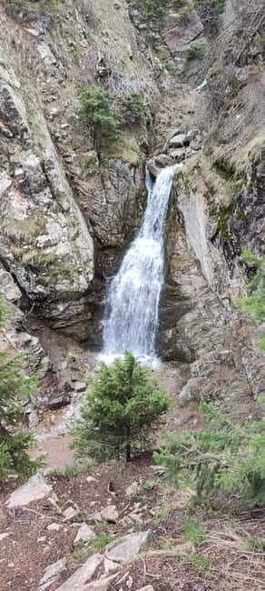 Almaty: Hiking to the High Mountain Pasture Kok Zhailau - FAQ