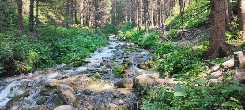 Almaty in a Day: Mountains and City Highlights - Good To Know