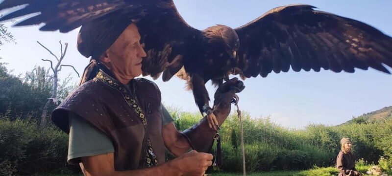 Almaty in a Day: Mountains and City Highlights - Reflecting on the Reviews