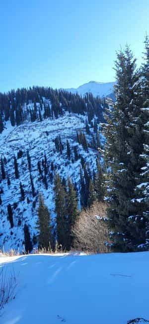 Almaty: Kim Asar Mountains and Waterfall Hiking Tour - Authentic Insights from Reviews