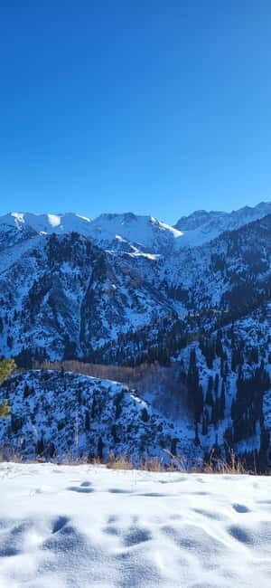 Almaty: Kim Asar Mountains and Waterfall Hiking Tour - Good To Know