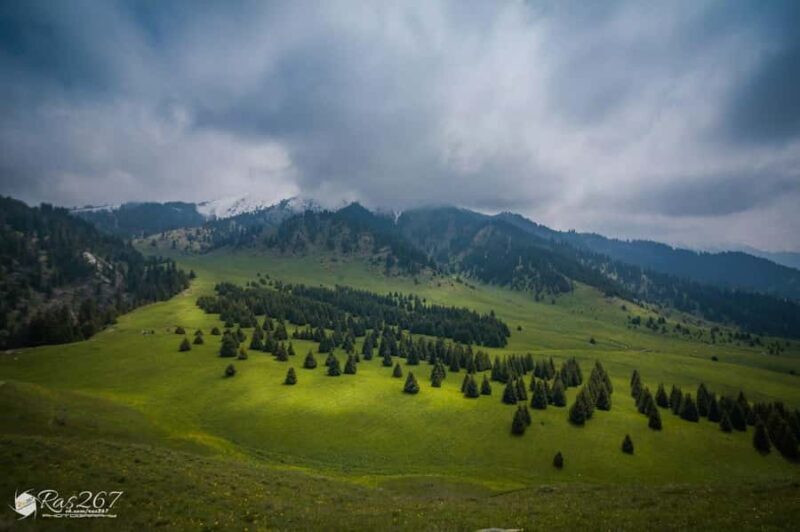 Almaty: Moderate hiking to Kok Zhailau - An Authentic Look at the Kok Zhailau Hiking Experience