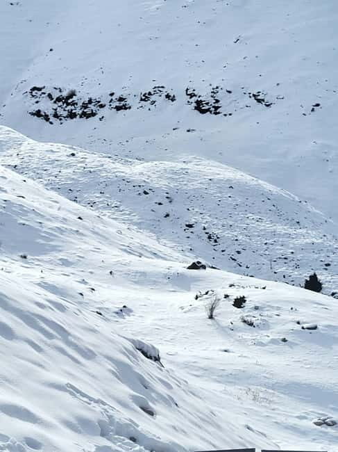 Almaty: Shymbulak, Medeu, Kok Tobe, Zenkov's Cathedral - Good To Know