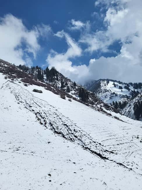 Almaty: Shymbulak, Medeu, Kok Tobe, Zenkov's Cathedral - Final Thoughts: Who Will Love This Tour?