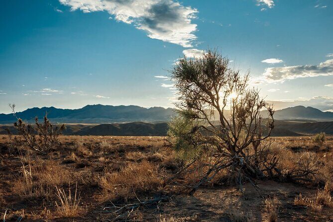 Almaty to Altyn-Emel National Park Private Tour - Frequently Asked Questions