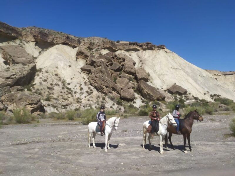 Almeria: Horse Riding Tour Through the Tabernas Desert - Exploring the Tabernas Desert