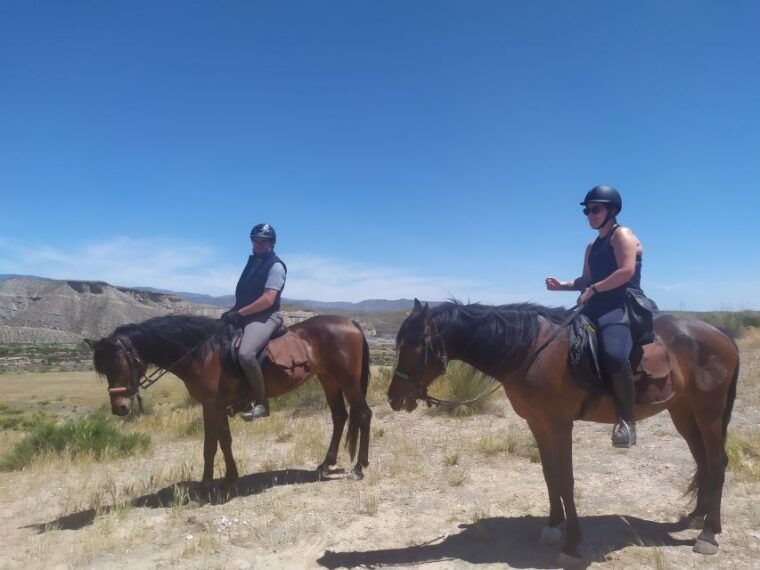 Almeria: Horse Riding Tour Through the Tabernas Desert - Geological Wonders and Landscapes