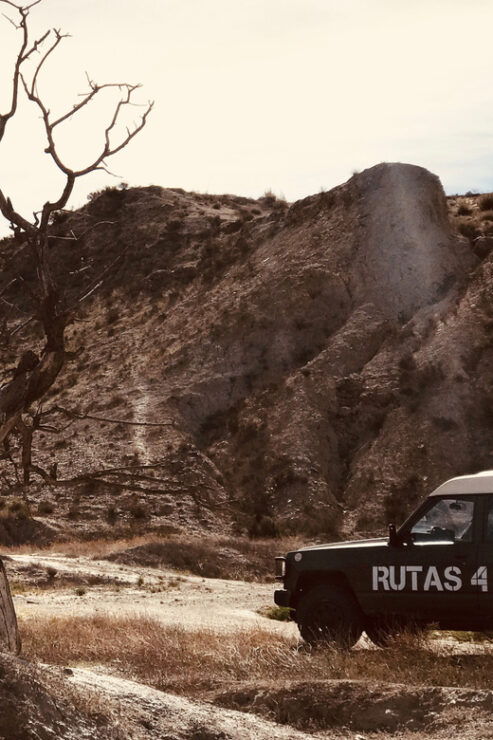 Almeria: Tabernas Desert 4x4 Tour - Good To Know
