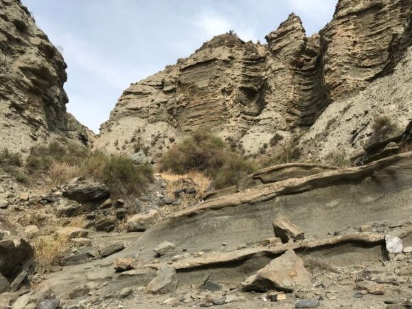 Almeria: Tabernas Desert 4x4 Tour - Frequently Asked Questions