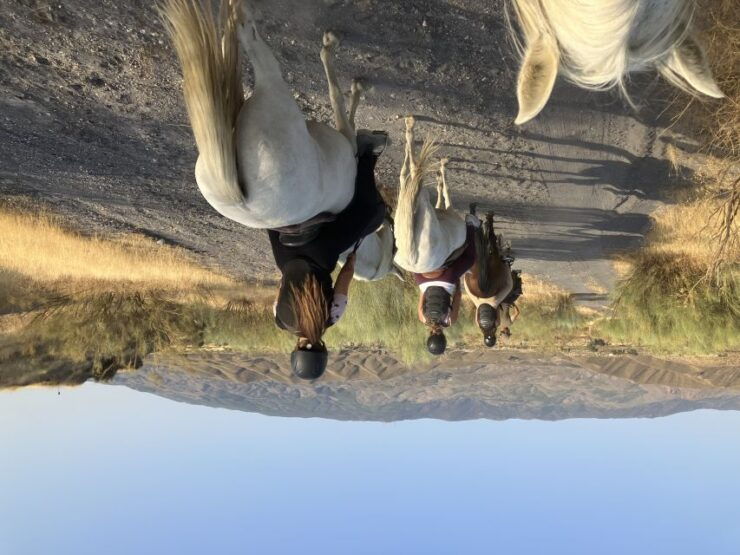 Almeria: Tabernas Desert Horse Riding for Experienced Riders - Booking Information