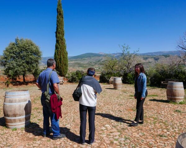 Almería: Wine Tour and Aperitif From La Alpujarra in Laujar - Booking and Payment Details