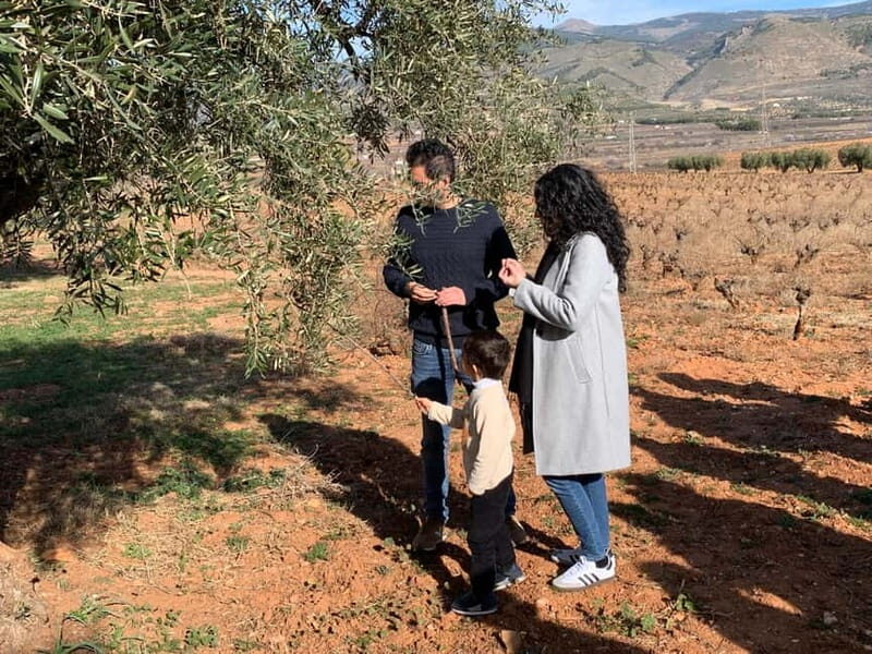 Almería: Wine tour and aperitif from La Alpujarra in Winery - Good To Know