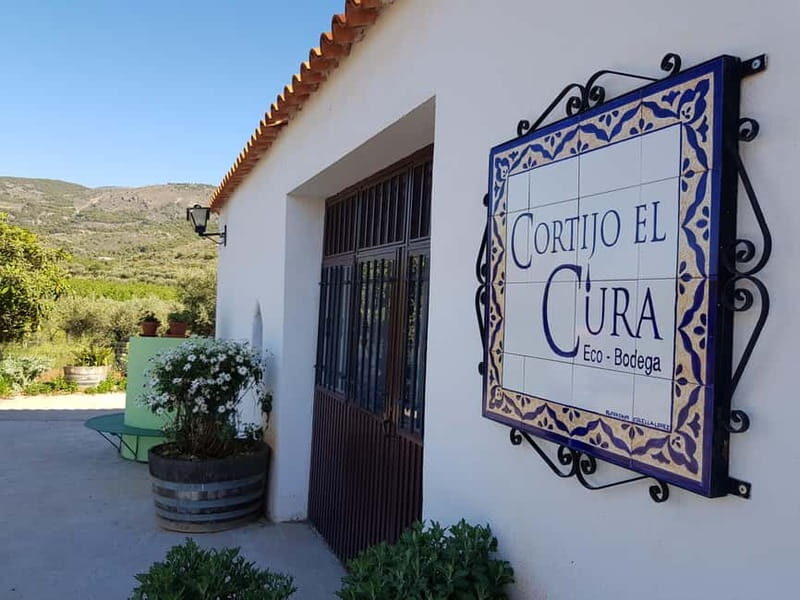 Almería: Wine tour and aperitif from La Alpujarra in Winery - Who Should Consider This Tour?