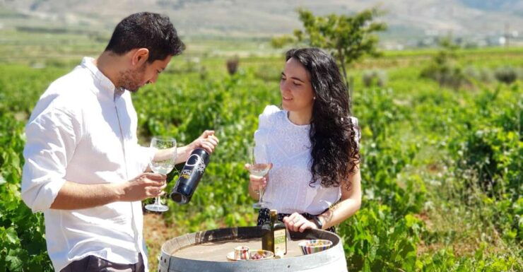 Almería: Wine Tour and Tasting in Organic Winery - Tour Details