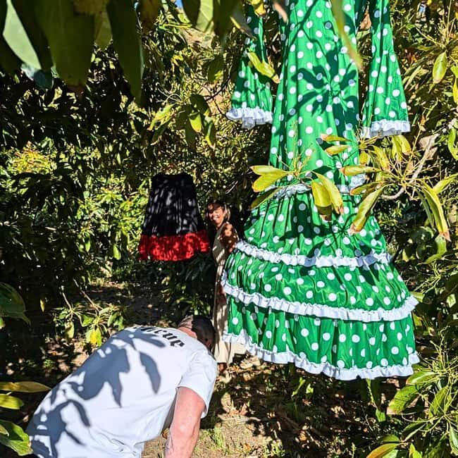 Almuñécar: avocado farm aroma experience and workshop - Who Should Consider This Tour?