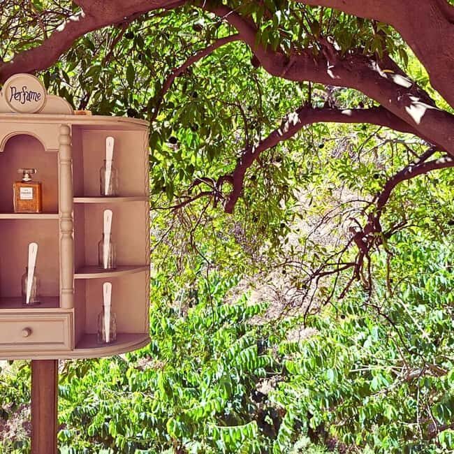 Almuñécar: avocado farm aroma experience and workshop - The Sum Up