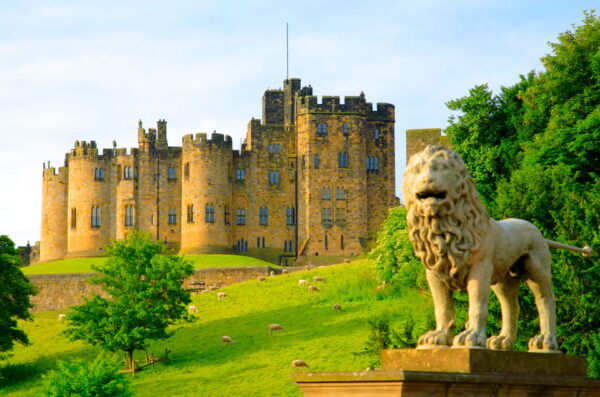 Alnwick: Alnwick Castle Ticket - Reserve and Pay Later
