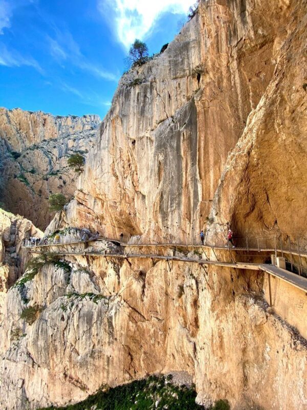 Alora Caminito del Rey Half-Day Small Group Tour - Why the El Chorro shuttle matters