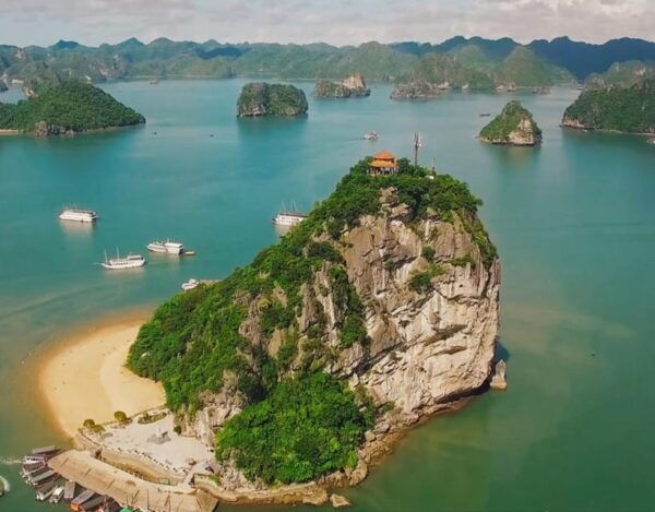 Alova Premium Cruise - Deluxe Day Tour From Ha Long Bay - Booking Information